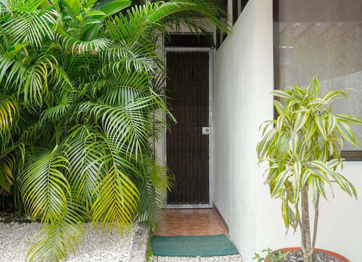 Apartamentos Y Studios Brisas Del Mar Santa Teresa Playa Santa Teresa  Exterior photo