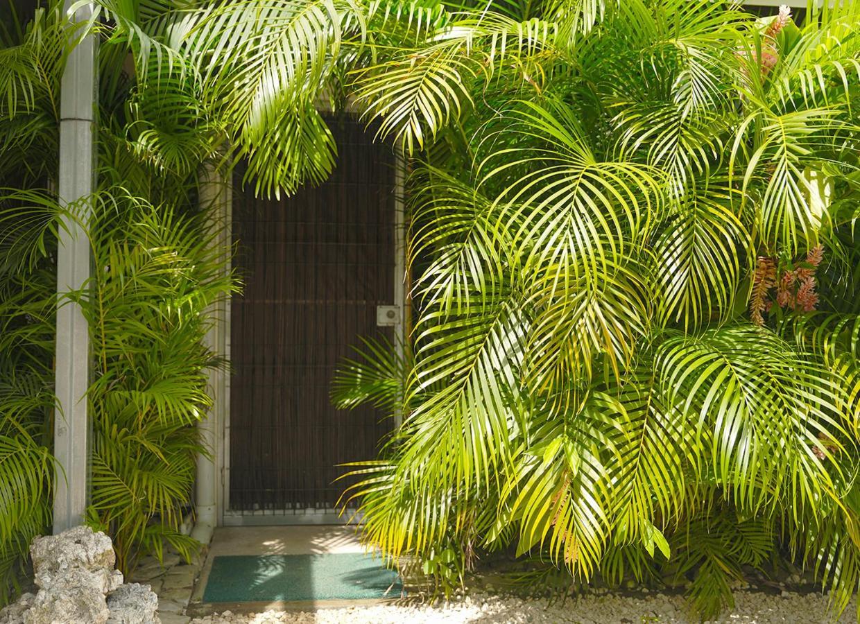 Apartamentos Y Studios Brisas Del Mar Santa Teresa Playa Santa Teresa  Exterior photo